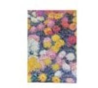 Paperblanks Monet’s Chrysanthemums Mini Lined Hardback Journal (Elast (Hardback)