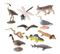Monetais 10PCS/Set Animal Figures Realistic North American Lake Plastic Animal Figurines Educational for Kids Boys Girls Animals Figures