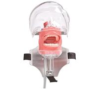 Monetais Typodont, Dental Typodont Teeth Model Removable Teeth & Adjustable Strap Dental Training Head