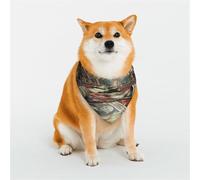 Money is Everywhere Pet Scarf Stylish Triangle Bid Scarf Bandana Pet Accessory,Washable Pet Kerchief for Girl Boy Dogs or Cats Large