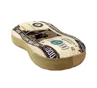 Money Pillow - 13 x 9 Inch Foam Support | Thousand Dollars