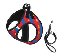 Mongolian Flag Pet Leash Vest For Small Dogs Cats Reflective Adjustable Soft Outdoor Walking Hiking Training