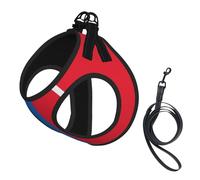 Mongolian Flag Print Dog Harness with Leash Set with Thickened Padded Vest for Extra-Small/Small Medium Dogs