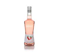 Monin Liqueur de Lychee (No Box/Torn Label)