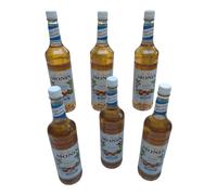 Monin Premium Sugar Free Hazelnut Syrup 6 x 1L BBD: 31/12/2025