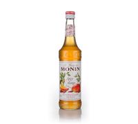 Monin Spicy Mango (Mangue Epices) Syrup Syrups and Cordials