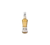 Monin Vanilla Liqueurs