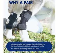 Monivi 2Pack Dog Knee Brace with Gel Support - Adjustable Joint Protector for Small/Medium/Large Dogs, Anti-Lick Design (L)