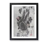 Monkey Hanging From A Tree By Kawanabe Kyosai Asian Japanese Framed Wall Art Print, Ready to Hang Picture for Living Room Bedroom Home Office Décor, Black A2 (64 x 46 cm)
