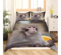 Monkey King Size Duvet Cover Sets Animals Bedding Set 3D Print Soft Microfiber Quilt Covers 230x220 cm with Zipper Closure and 2 Pillowcases 50x75 cm for Adults D.257