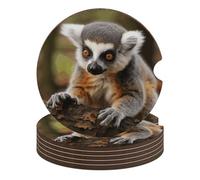 Monkey Lemur Cute 6PCS Car Coasters Absorbent Drink Coasters with A Finger Universal Wood Coffee Coaster for Cup Holders Non-Slip Car Cup Holder Coaster Cute Drink Mat Car Accessories for Women Men