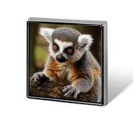 Monkey Lemur Cute Brooch Pins Lapel Pins for Men Women Badge Button Cover Decorative Jewelry Charms for Hats Bags Backpacks Suits Shirts Scarves Clothing Accessories Banquet Wedding Gift