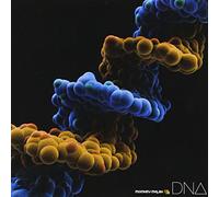 Monkey Majik - DNA (CD+DVD) [Japan CD] AVCH-78051