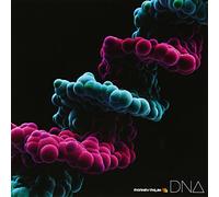 Monkey Majik - DNA [Japan CD] AVCH-78052