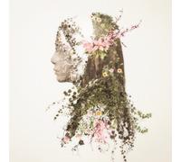 Monkey Majik - Story [Japan CD] AVCH-78043