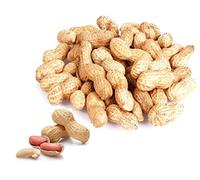 MONKEY NUTS Peanuts In Shell 2kg 1kg 500g 250g Parrot Hamster Squirrel Food Feed Treat (500g)