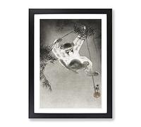 Monkey On A Bamboo Branch By Ohara Koson Asian Japanese Framed Print | A2 Black Framed Wall Art | Ready to Hang | Asian Animal Picture | Living Room Bedroom Lounge Office