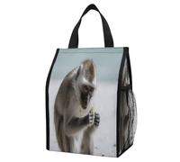 Monkey on The Ground Insulated Lunch Bag Box, 12L Capacity with Dual Side Pockets, Foldable Cooler Tote, Leakproof Lunch Cooler Bag, Reusable Picnic Tote Bags for Work Travel Office Beach