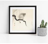 Monkey on tree branch, by OHARA KOSON Stunning Framed Wall Art Picture Print Square - 35cm wide x 35cm high - Black Frame