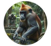 Monkey Puzzle 1000 Pieces Jigsaw Animals Das Tier Wild Animals Beast Round Jigsaws Adults Kids Puzzles Presents Creative Geometric Challenging And Brainteasing Fun Creativity (67.5x67.5cm)
