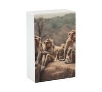 Monkey Sitting on Stone Cigarette Case Portable Novelty Cigarette Packing Box Crush Proof Waterproof Cigarette Box Novelty Gifts for Friend
