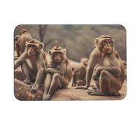 Monkey Sitting on Stone Diatom Mud Bath Mats Absorbs Moisture and Dirt,Door Mat with Non-Slip Rubber Backing,Floor Mat Fit Under Door, for Bathroom Floor, Tub, Shower, Sink