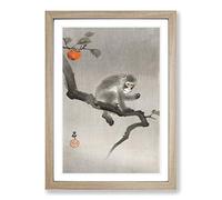 Monkey Upon an Orange Tree by Ohara Koson Framed Print | A2 Oak Framed Wall Art | Ready to Hang | Modern Floral Picture | Living Room Bedroom Lounge Office