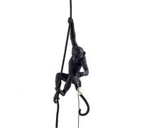 Monkey With Rope Ceiling Light Black Outdoor