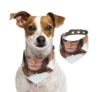 Monkeys in the Snow Double Sided Dog Bandanas - Cotton Reversible Pet Scarf for Small Large Dogs - Unique Print Puppy Accessories