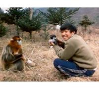 Monkeys of the Middle Kingdom