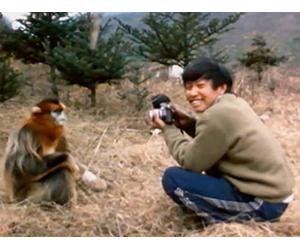Monkeys of the Middle Kingdom