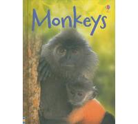 Monkeys (Usborne Beginners)