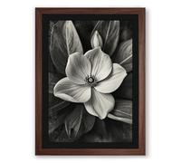 Monochrome Bloom Botanical Framed Wall Art Print A4 (29.7×21cm) Walnut, Wall Decor for Living Room, Bedroom, Office & Home, Ready to Hang, Art Gift
