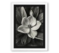 Monochrome Bloom Botanical Framed Wall Art Print A4 (29.7×21cm) White, Wall Decor for Living Room, Bedroom, Office & Home, Ready to Hang, Art Gift