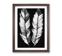 Monochrome Feathers No.1 Framed Print | A3 Walnut Framed Wall Art | Ready to Hang | Modern Nature Picture | Living Room Bedroom Lounge Office