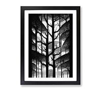 Monochrome Forest Framed Print for Living Room Bedroom Home Office Décor, Wall Art Picture Ready to Hang, Black A2 Frame (62 x 45 cm)