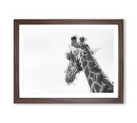 Monochrome Giraffe In Abstract Modern Art Framed Wall Art Print, Ready to Hang Picture for Living Room Bedroom Home Office Décor, Walnut A3 (46 x 34 cm)