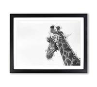 Monochrome Giraffe In Abstract Modern Art Framed Wall Art Print, Ready to Hang Picture for Living Room Bedroom Home Office Décor, Black A3 (46 x 34 cm)