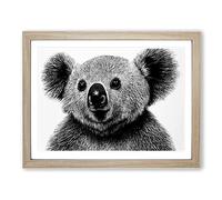 Monochrome Koala Bear WHT Framed Wall Art Print A2 Oak