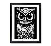Monochrome Owl Framed Wall Art Print A2 Black