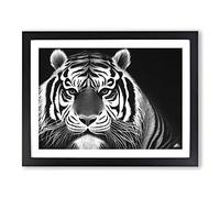 Monochrome Tiger Framed Wall Art Print A2 Black