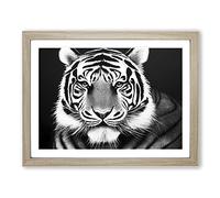 Monochrome Tiger Framed Wall Art Print A2 Oak