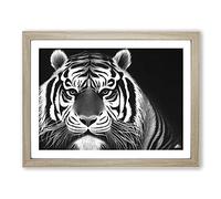 Monochrome Tiger Vol.6 Framed Print | A4 Oak Framed Wall Art | Ready to Hang | Modern Animal Picture | Living Room Bedroom Lounge Office