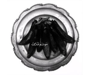 Monogamy - Of Kush's Egypt Land Compact Disc