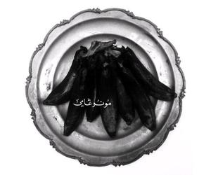 Monogamy - Of Kush's Egypt Land Compact Disc