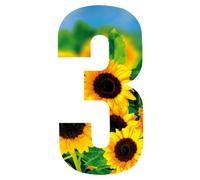 MONOGRAM Classic Signs Wheelie Bin Number Sunflower 3