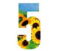 MONOGRAM Classic Signs Wheelie Bin Number Sunflower 5