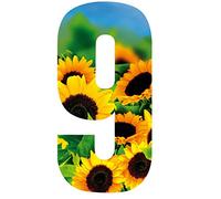MONOGRAM Classic Signs x3 Wheelie Bin Number Sunflower 9