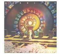 MONOLINK - Amniotic - Vinyl (gatefold heavyweight vinyl 2xLP)