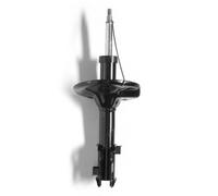 Shock Absorber Fits Hyundai Matrix MONROE 16362